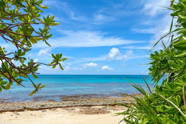 沖縄のイメージ写真