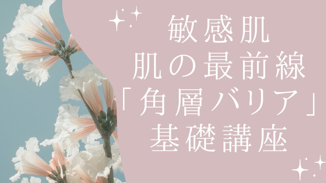肌の最前線「角層バリア」ってなに？敏感肌さんのための基礎講座アイキャッチ画像
