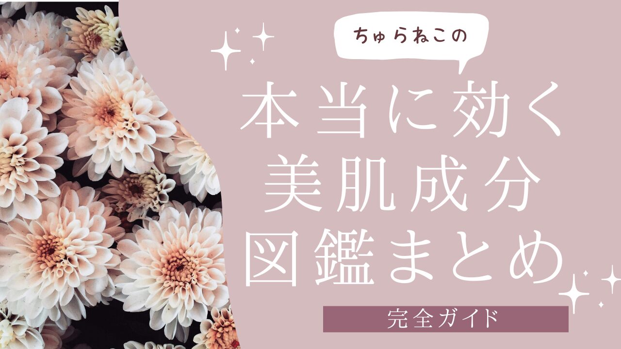 美肌成分図鑑まとめアイキャッチ画像