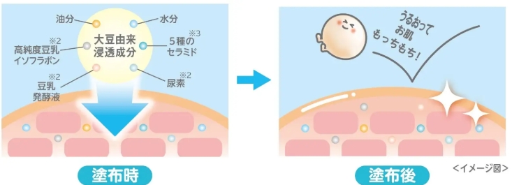 なめらか本舗 もちすべボディミルクNCのイメージ画像